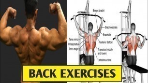 'BACK WORKOUT at gym | Back Exercises | Kapil Malik Fitness | EP 5'