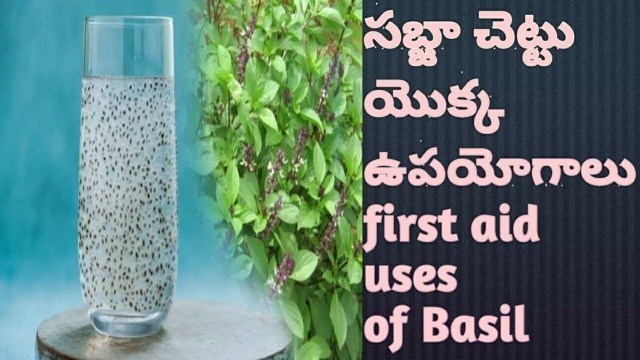 'Health Benefits of Sabza |  In Telugu | Sabja Seeds | సబ్జా యొక్క ఆరోగ్య ప్రయోజనాలు'