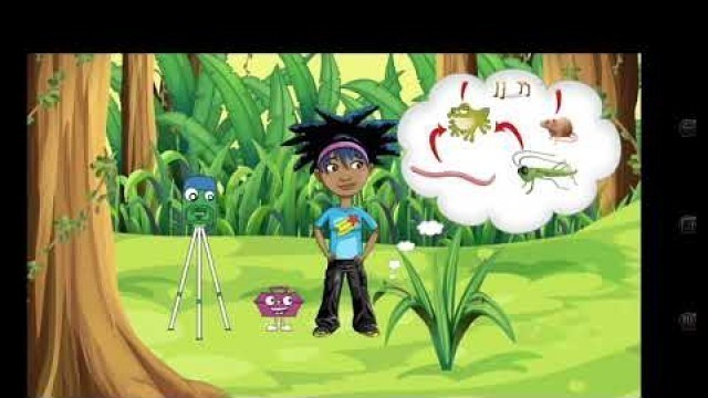 'Food Web | Mosa Mack'