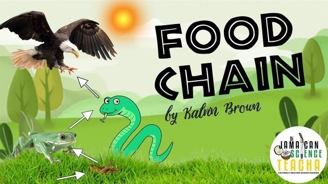 'Di Jamaican Science Teacha - Food Chain (Lyric Video)'