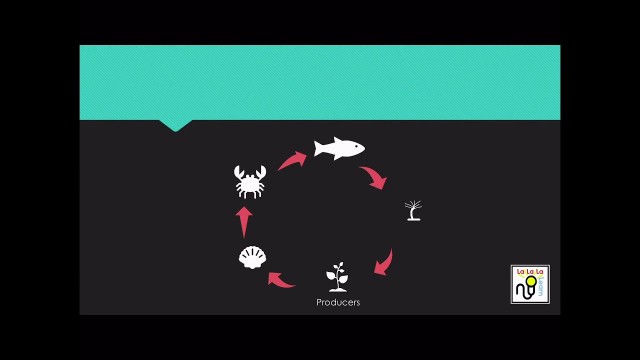 'Food chain song (karaoke) | Science | La La La Learn'