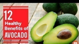 '12 Benefits of Avocado Fruit | healthy tips | Avocado fruit | Avocado plant | Butter fruit'