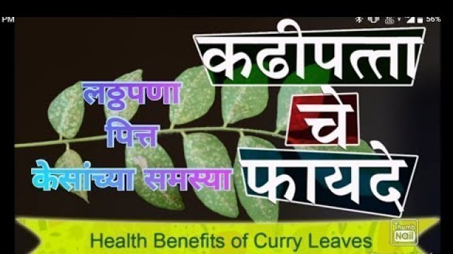 'कढीपत्ता फायदे ! Weight loss | Hair Care | acidity | fitness | Ayurveda | केस गळती |'