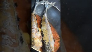 'fish curry /delicious food 