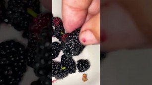 'First taste Mulberry fresh from yarden || #garden #lifestyle #travel #food #vlog Is #realestate'