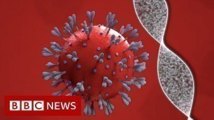 'Coronavirus vaccine: How close are we and who will get it? - BBC News'