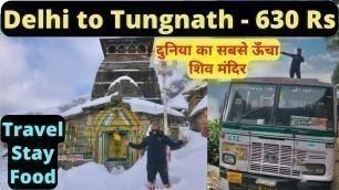 'Delhi to Tungnath Temple in 630 Rs | Travel | Stay | Food | 2022'