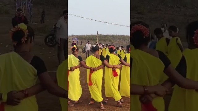 'Dhimsa Dance #araku #shorts #youtubeshorts #viral #trending #shortvideo #love #travel #food #vlog'