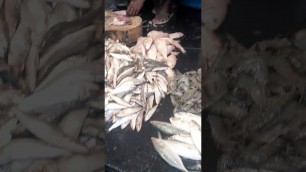 'Fish market #shorts #ytshorts #trending #youtubeshorts #travel #food #chennai'