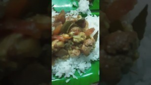 'Mutton Rice with Chicken 65 #shorts #trending #youtubeshorts #ytshorts #travel #food #chennai'