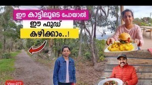 'കാട്ടിലൂടെ food കഴിക്കാൻ പോയപ്പോൾ!Travel!Food!Binnichen Thomas'