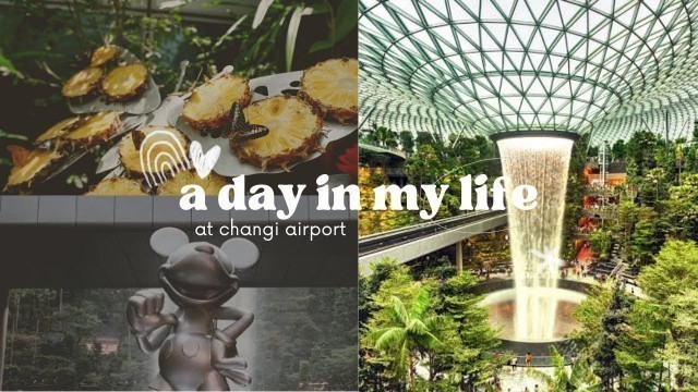 'A day in my life at Changi Airport #singapore #lifestyle #travel #food #malayalam'