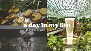 'A day in my life at Changi Airport #singapore #lifestyle #travel #food #malayalam'