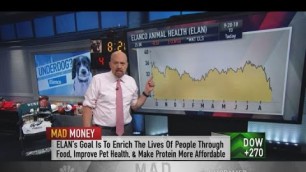 'Cramer: Investors should buy the dip after Elanco acquires Bayer Animal Health'