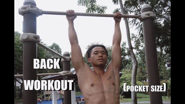 'Back Workout (Pocket Size)'