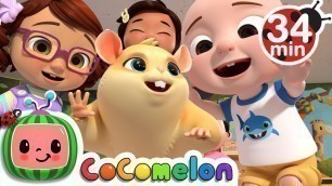 'Class Pet Song + More Nursery Rhymes & Kids Songs - CoComelon'