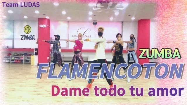 'Zumba/flamenco tone/zumba fitness/teamludas/ludafitstudio/팀루다스/dame todo tu amor'