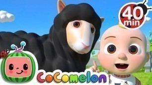 'Baa Baa Black Sheep Song + More Nursery Rhymes & Kids Songs - CoComelon'