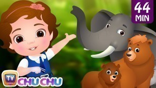 'Going To the Forest | Wild Animals for Kids and More Learning Songs & Nursery Rhymes by ChuChu TV'