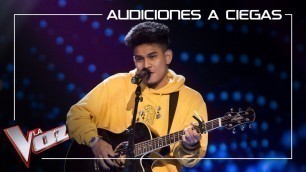 'Lion canta \'Toxic\' | Audiciones a ciegas | La Voz Antena 3 2019'