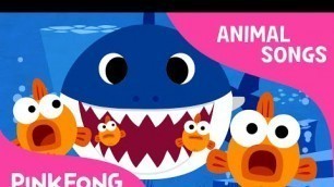 'Baby Shark | Animal Songs | PINKFONG Songs for Children'