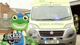 'Gecko And The Big Ambulance Gecko\'s Real Vehicles | Real Vehicles For Kids | Learning For Kids'