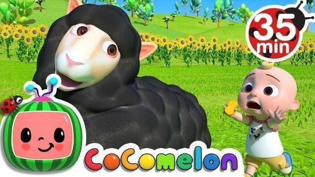 'Baa Baa Black Sheep + More Nursery Rhymes & Kids Songs - CoComelon'