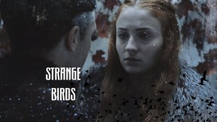 '{game of thrones} Sansa Stark x Petyr Baelish | strange birds'