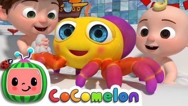 'Itsy Bitsy Spider | CoComelon Nursery Rhymes & Kids Songs'