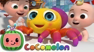 'Itsy Bitsy Spider | CoComelon Nursery Rhymes & Kids Songs'