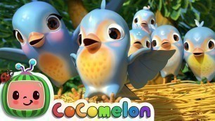 'Five Little Birds 3 | CoCoMelon Nursery Rhymes & Kids Songs'