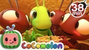 'The Ant and the Grasshopper + More Nursery Rhymes & Kids Songs - CoComelon'