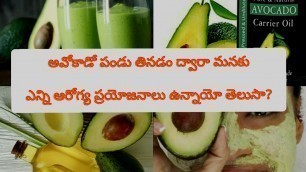 '#avocadobenfits# అవోకాడో పండు యొక్క ఆరోగ్య ప్రయోజనాలు/Avocado health benefits /Trendy culture/telugu'