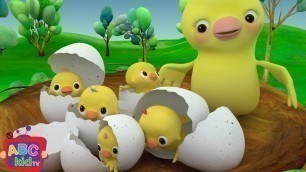 'Five Little Birds | CoComelon Nursery Rhymes & Kids Songs'