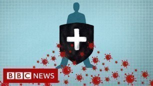 'Coronavirus: Immunity explained - BBC News'