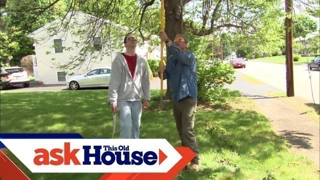 'Pruning a Crabapple Tree | Ask This Old House'