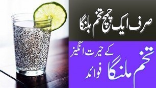 'Health Benefits Of Basil Seeds تلسی کے بیجوں کے صحت سے متعلق فوائد Doctor Saba Official'