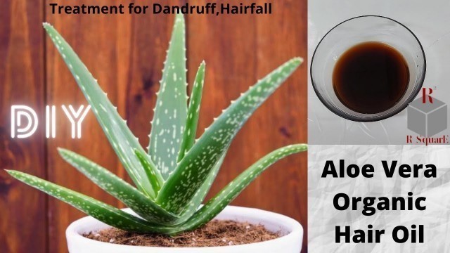 'Aloe vera organic hair oil | Ayurveda | Hair Fall | Dandruff Treatment | R Square Creativity'