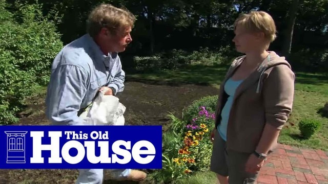 'How to Maintain a Lawn Organically | This Old House'