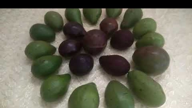 'Health benefits of avocados in tamil'