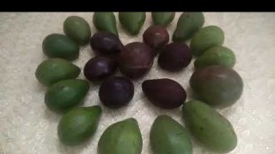 'Health benefits of avocados in tamil'