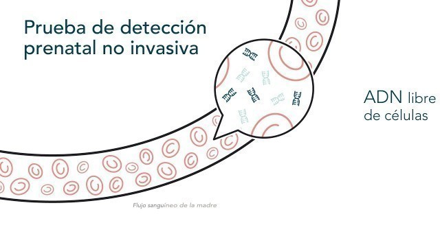 'Noninvasive Prenatal Screening Patient Education Animation - Spanish'