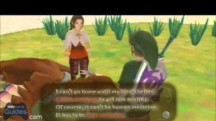 'Zelda Skyward Sword Walkthrough - Sidequest - Missing Sister (Part 57) | WikiGameGuides'