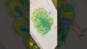 'Peacock Coloring Activity | LULU KIDS'