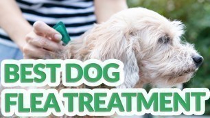 'Best Flea Treatment For Dog 2019 - 6 TOP Flea Treatment For Dogs'
