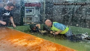 'SHOCKING: Video shows alligator attack during kid\'s birthday party'
