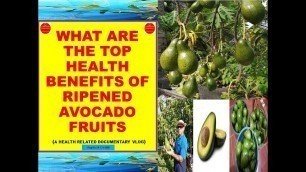 'Health Benefits Of The Ripened Avocado Fruits | The Urban Plant Grower | Year 2020'