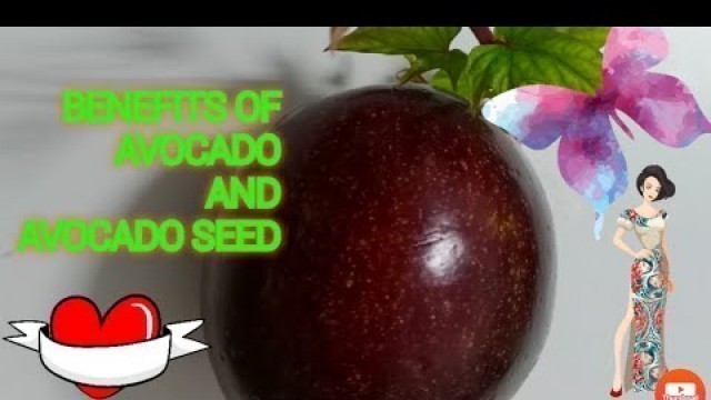 'HEALTH  BENEFITS OF AVOCADO AND AVOCADO SEED'