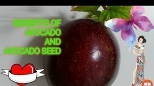 'HEALTH  BENEFITS OF AVOCADO AND AVOCADO SEED'