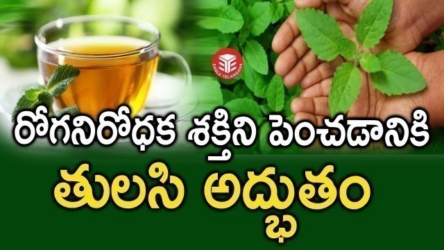 'అద్భుత ఔషధ గుణాల తులసి | Amazing Health Benefits of Basil (Tulasi) | Eagle Telangana'